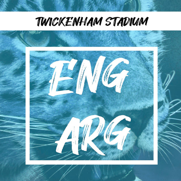England vs Argentina - 23rd November 2025