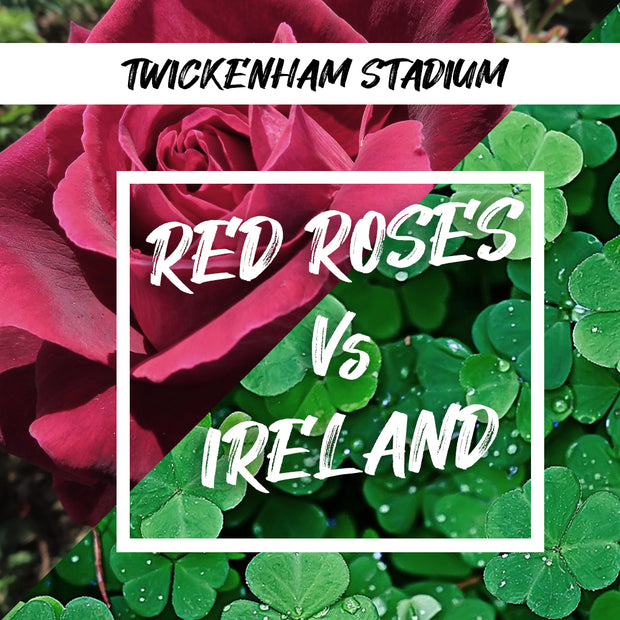 Red Roses vs Ireland - 11th April 2026